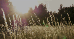 Desktop Screenshot of keepitpublic.org