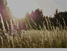 Tablet Screenshot of keepitpublic.org
